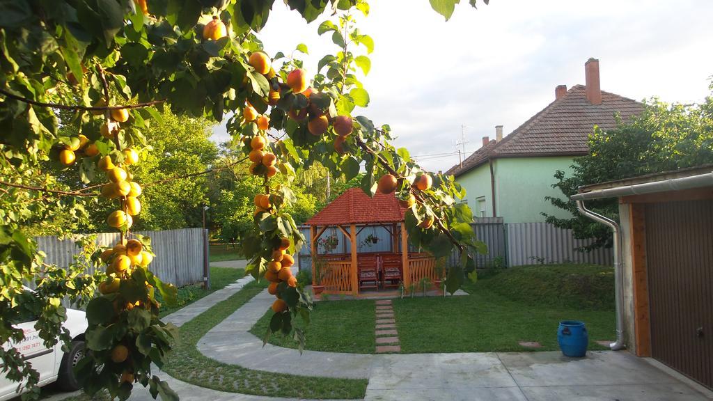 Tiszavirag Apartmanhaz Szeged Extérieur photo