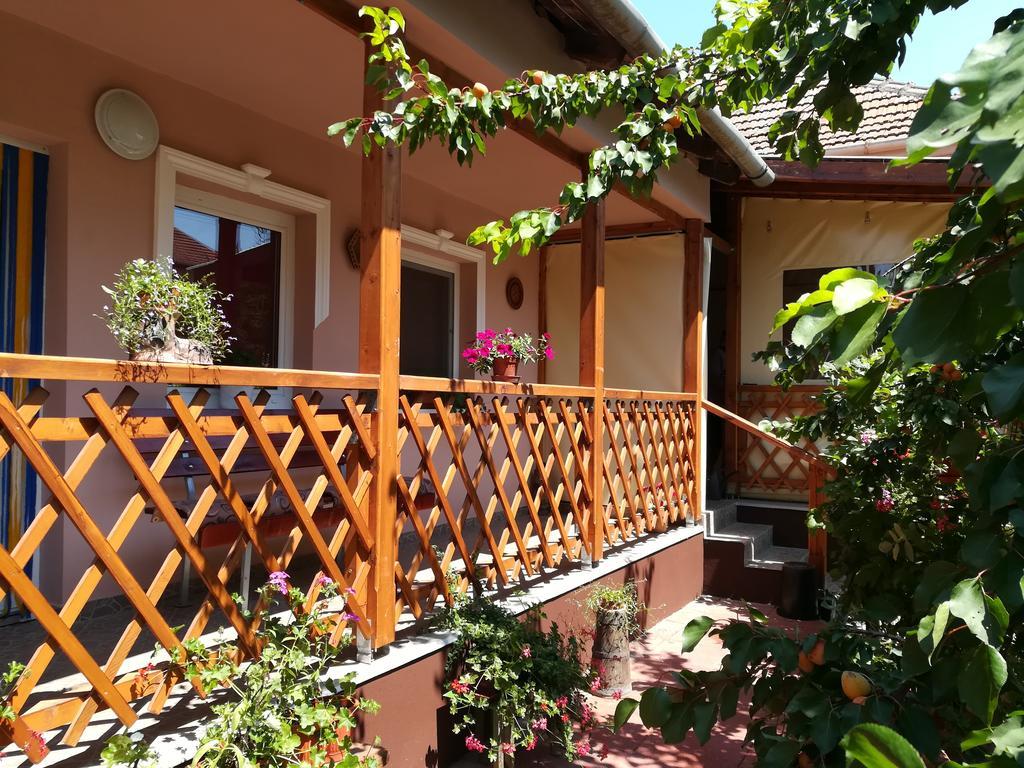 Tiszavirag Apartmanhaz Szeged Extérieur photo