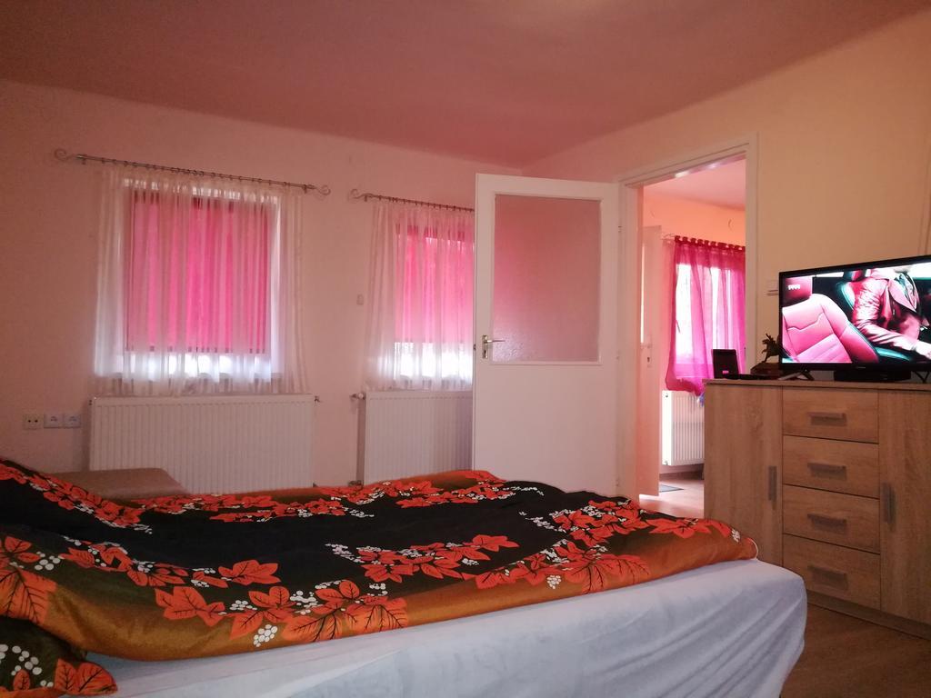 Tiszavirag Apartmanhaz Szeged Extérieur photo